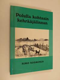 Polulla kohtasin kehrääjälinnun