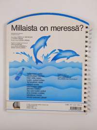 Millaista on meressä?