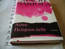 Aamu Heinjoen tiellä