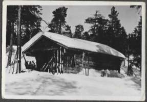 Retkiä Lappiin kesät talvet 1950-luku  -n 70  valokuvaa  valokuva- albumi