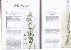 Kotimaan luonnonkasvit, 2003.Teos esittelee 500 Suomen yleisintä kasvilajia.