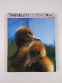 Suopohjasta uutta voimaa = The after-use alternatives of postharvesting peat production sites