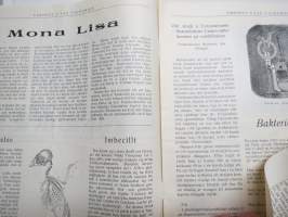 Errores 1951 - Sancta Valpurgis  - Åbo Akademis Studentkår -första maj publikation