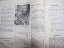 Errores 1952 - Sancta Valpurgis  - Åbo Akademis Studentkår -första maj publikation