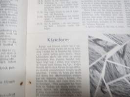 Errores 1952 - Sancta Valpurgis  - Åbo Akademis Studentkår -första maj publikation