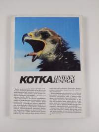 Kotka : lintujen kuningas