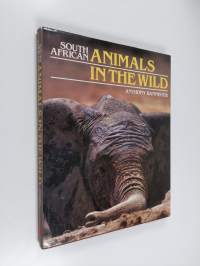 South African Animals in the Wild