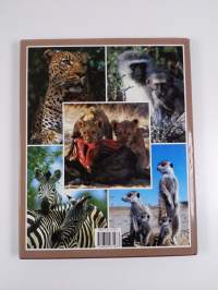 South African Animals in the Wild