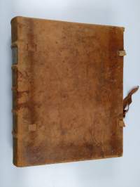 Seitsemän veljestä ((1918))