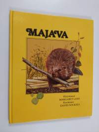 Majava