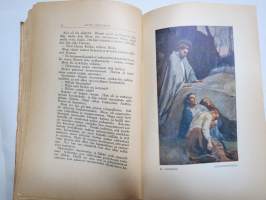 Nuori Suomi XXVII 1918 kirjallistaiteellinen joulu-albumi, kirjoittajina mm. Samuli Paulaharju, F.E. sillanpää, W.W. Tuomioja, Rafael Blomstedt, V. E. Tuompo K. Atra
