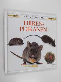 Hiirenpoikanen