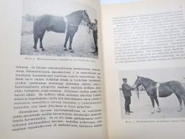 Hevosista - Valikoima kertoelmia ja tutkielmia tekijän hevosaiheita koskettelevasta kirjallisesta tuotannosta, silmälläpitäen erikoisesti suomalaista hevosta