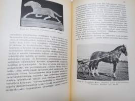 Hevosista - Valikoima kertoelmia ja tutkielmia tekijän hevosaiheita koskettelevasta kirjallisesta tuotannosta, silmälläpitäen erikoisesti suomalaista hevosta