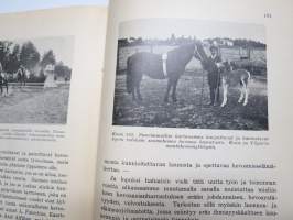 Hevosista - Valikoima kertoelmia ja tutkielmia tekijän hevosaiheita koskettelevasta kirjallisesta tuotannosta, silmälläpitäen erikoisesti suomalaista hevosta