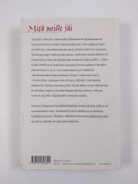 Mitä meille jäi : kertomuksia ja pienoisromaani