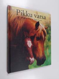 Pikku varsa