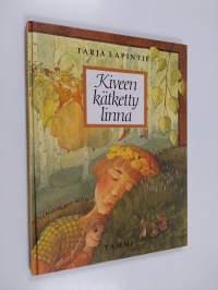 Kiveen kätketty linna