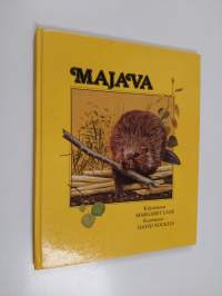 Majava