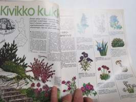 Avotakka 1978 nr 6, Grilliekstra, Ruohonleikkuritesti, Pihakalusteet, Wilho &amp; Leena Ilmari kesäkoti Piikkiö, Vuoden nainen Riitta Auvinen, Etsitkö antiikkia?, ym.