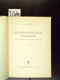 Pilvenpiirtäjäin varjossa : viisi viikkoa &quot;amerikkalaista laukkaa&quot;