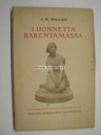 Luonnetta rakentamassa