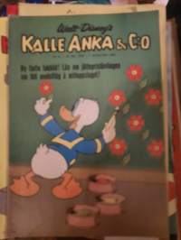 Kalle Anka 8/1965 (26 februari)