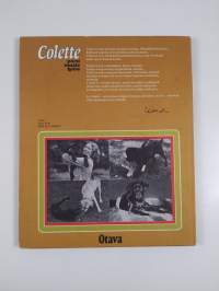 Colette, pieni musta koira