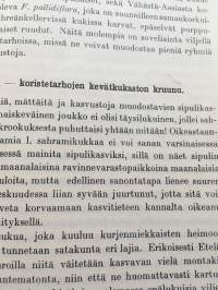 Koristekukkien kauneimmat - Perennat värikuvina