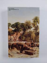 A thousand miles up the Nile