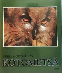 Kotometsä. (Luotokirja, korpi)