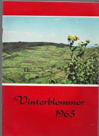 Vinterblommor 1965  joululehti