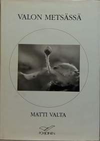 Valon metsässä. (Taidevalokuva)