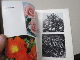 Taimihinnasto 1970-1971 Turun taimistot Jali Lyyvaara -plant catalog