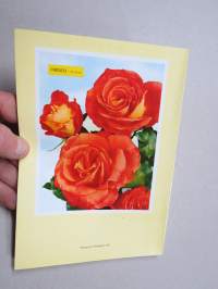 Taimihinnasto 1970-1971 Turun taimistot Jali Lyyvaara -plant catalog