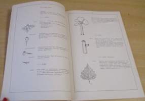 Puualan perusoppi 2 - Puun rakenne ja ominaisuudet