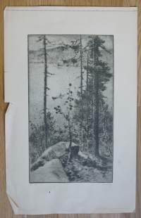 Alf Danning,Reproduktion i offsettryckt efter originaletsing 44x28 cm kehystämätön