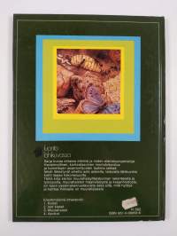 Luonto lähikuvassa 3 : Muurahaiset