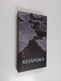 Kesäpoika : lyhytproosaa