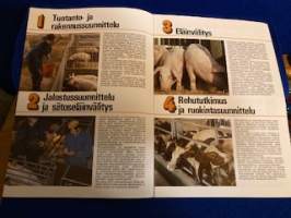 SOT:n lihantuotanto-ohjelma kannattavaan lihantuotantoon