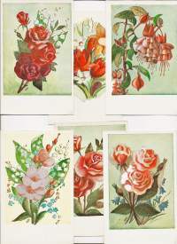 Sarja 6 eril  sign Laura Järvinen (1907-79) -   taiteilijapostikortti kukkapostikortti postikortti kulkematon