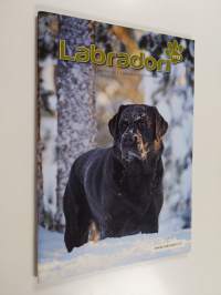 Labradori 1/13