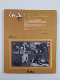 Colette, pieni musta koira