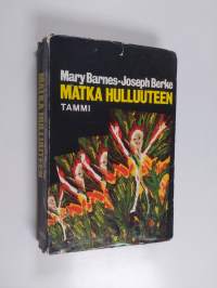 Matka hulluuteen