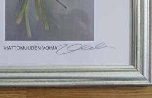 Johanna Oras, signeerattu painokuva &quot; Viattomuuden voima&quot;  , 34x24  cm kehystetty
