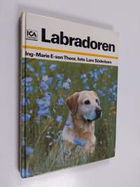 Labradoren