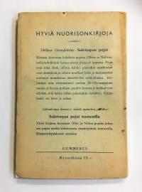 Salotorpan pojat