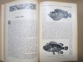 Das Grosse Welt-Panorama der Reisen, Abenteurer, Wunder, Entdeckungen und Kulturarten in Wort und Bild - Ein Jahrbuch für alle Gebildeten
