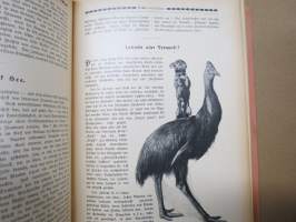 Das Grosse Welt-Panorama der Reisen, Abenteurer, Wunder, Entdeckungen und Kulturarten in Wort und Bild - Ein Jahrbuch für alle Gebildeten
