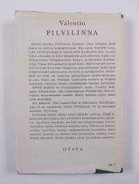 Pilvilinna : eräänlainen kertomus